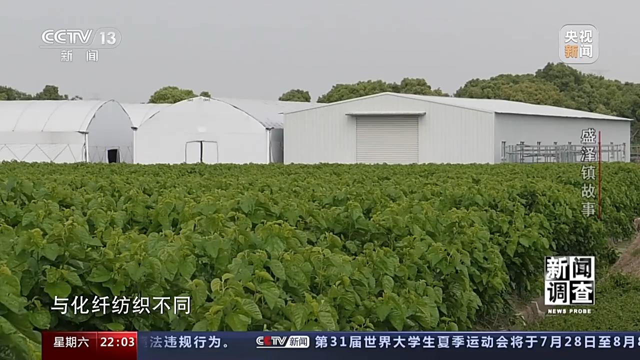 一个小镇两家世界500强企业,一个小镇两家500强企业