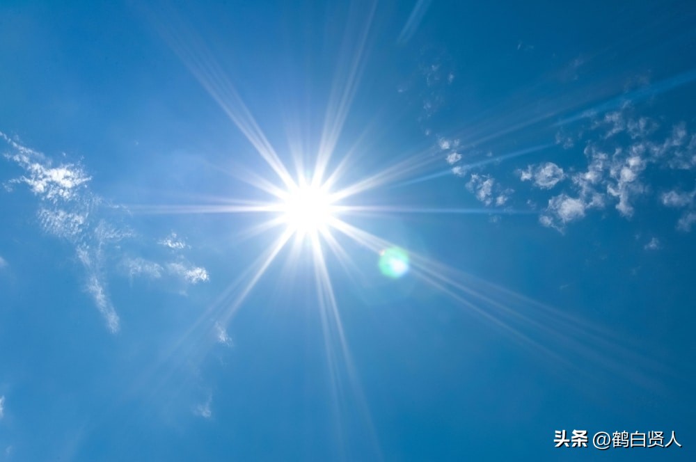 蓝藻的前世今生,蓝藻前世今生