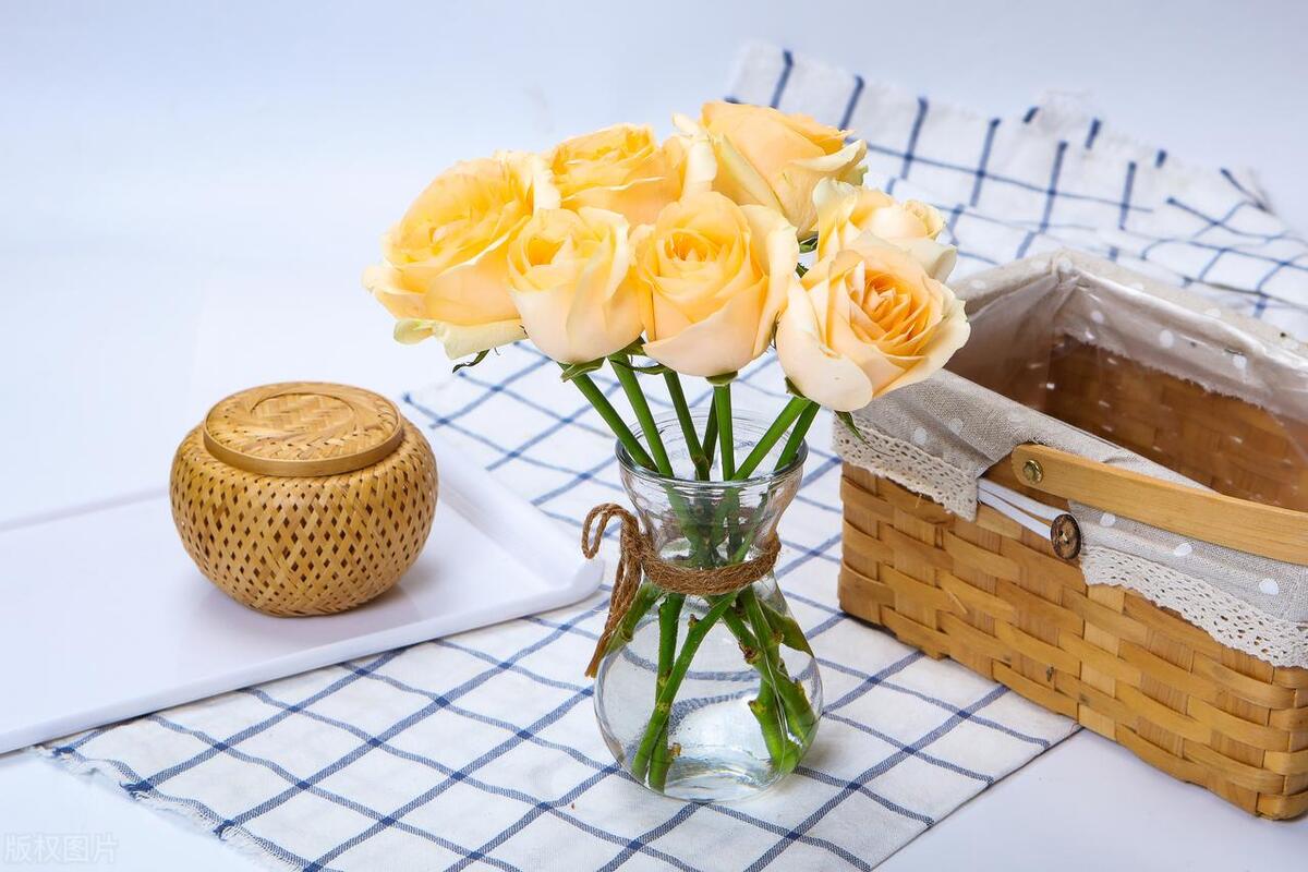 卖衣服的乐趣文案,买衣服的乐趣说说