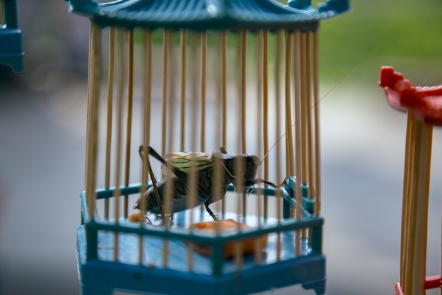 包村干部老包误打误撞，竟和支书女儿产生恋情。他们会有结果吗5