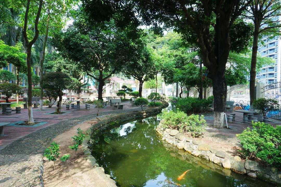 盛兴，梦想从这里启航