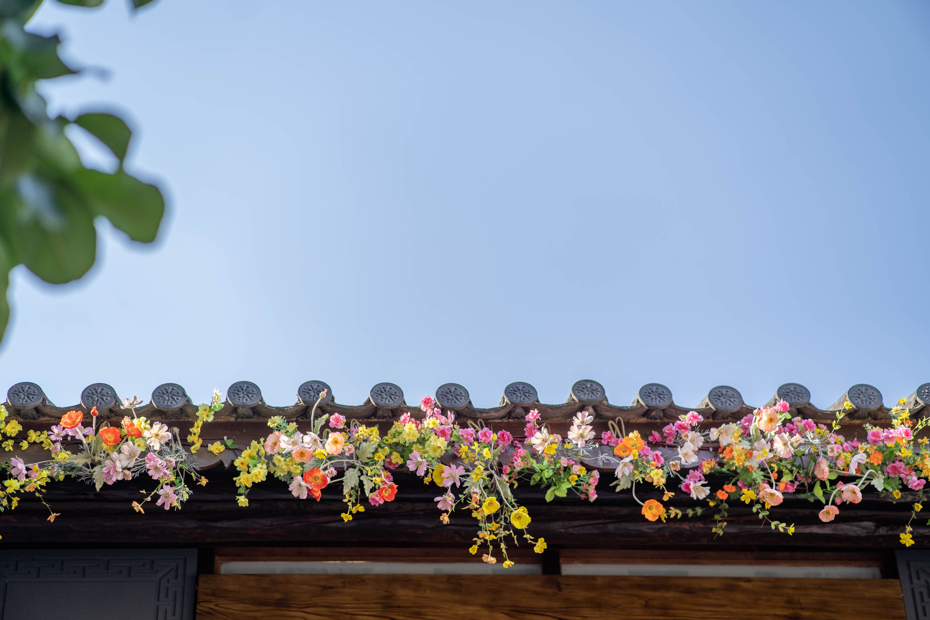 去云南跟团一日游攻略图片大全集,云南跟团六日游攻略大全图片