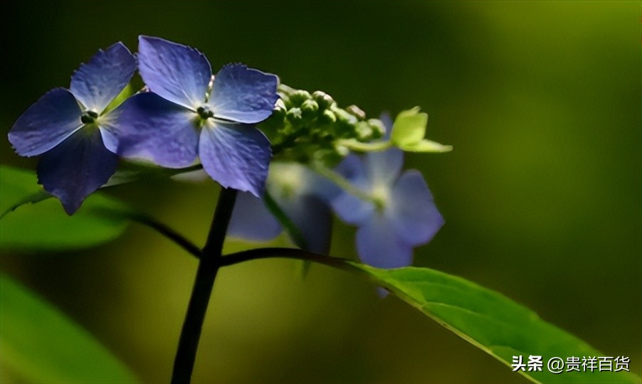 2023年3月份哪天是节假日,2023年4月有哪些法定节假日