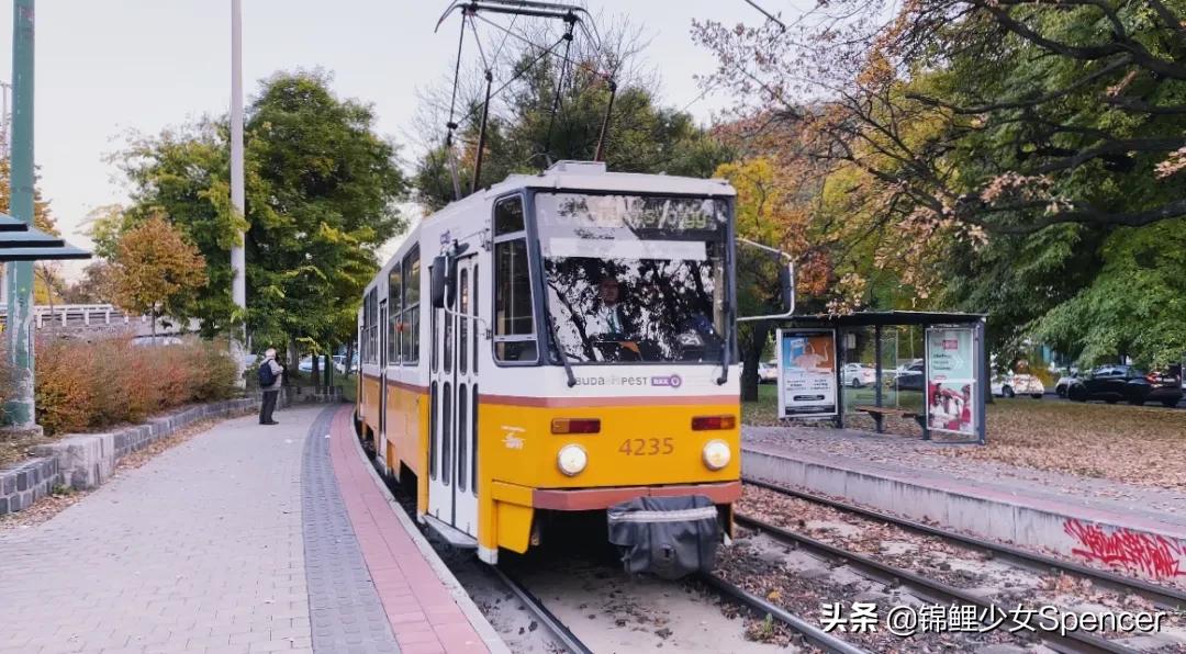 我在布达佩斯，收集了很多秋天送给你