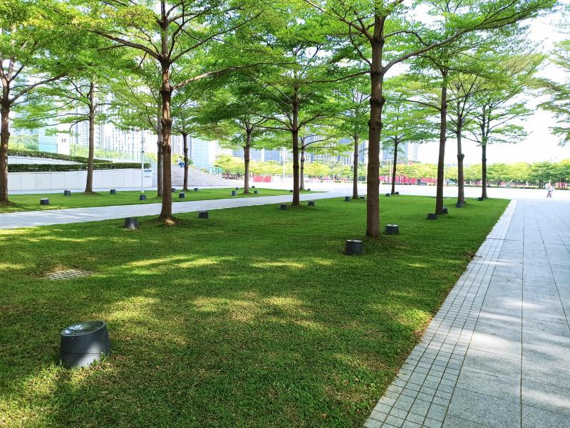 景观草坪如何搭配,庭院景观草坪种类