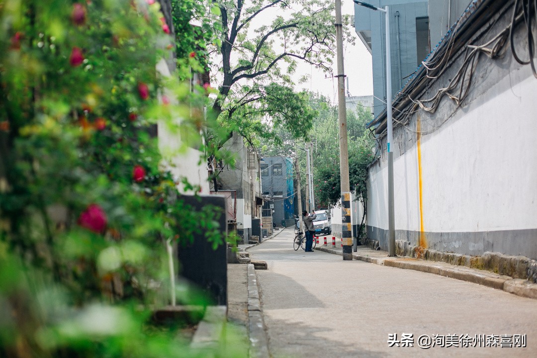 我在校园里的童年,我在小学的快乐时光