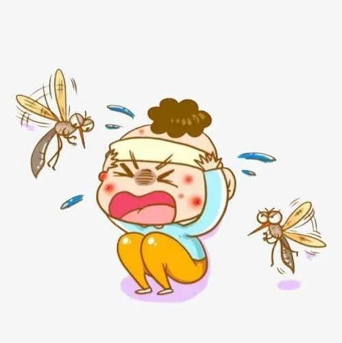 被毒虫咬后需谨慎,被毒虫咬后的有效处理