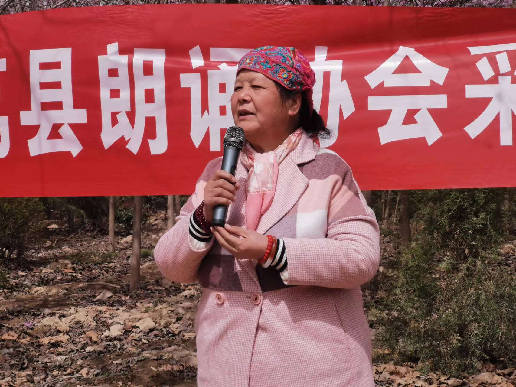 我的藏品欣赏原版,我的藏品分享图