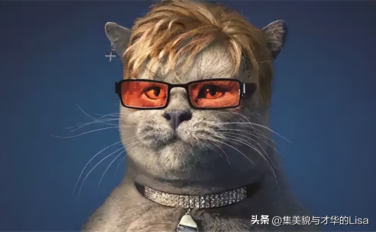 1分钟了解自媒体的收益模式,自媒体跟新媒体有哪些区别与联系