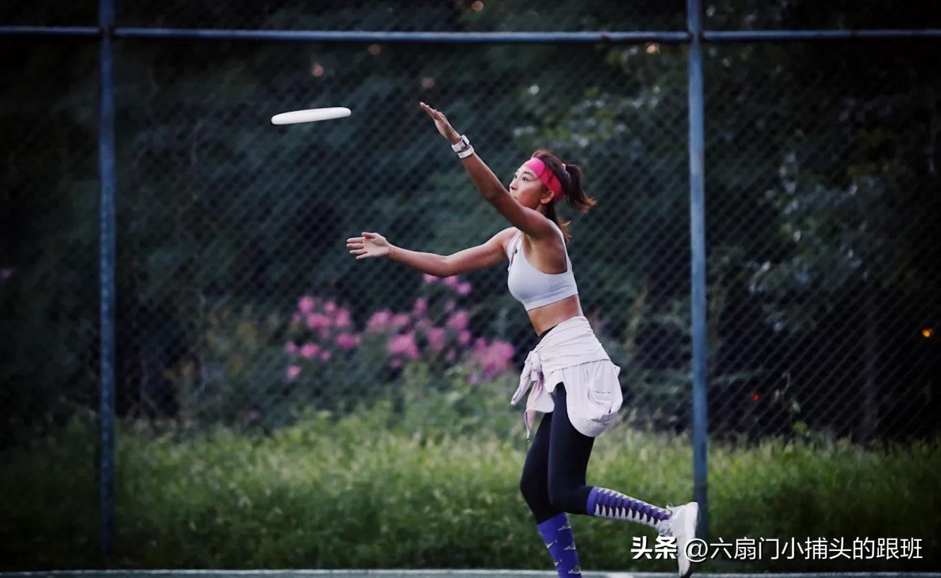 懂懂日记公众号,懂懂日记全集解说