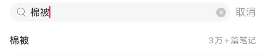 小红书seo技术分享平台优化,小红书笔记搜索流量