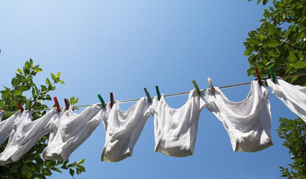 *裤内**穿多久要丢掉？热水和消毒水，哪个洗得更干净？