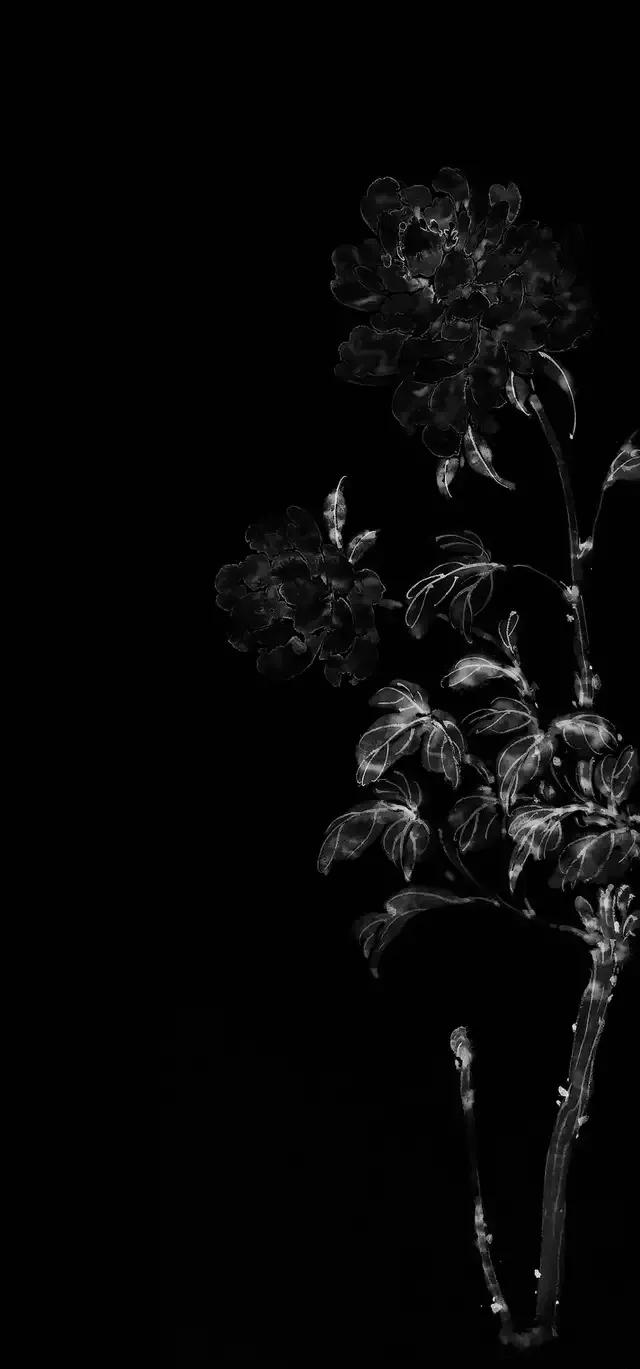 花朵黑白手绘图,黑白图片花朵