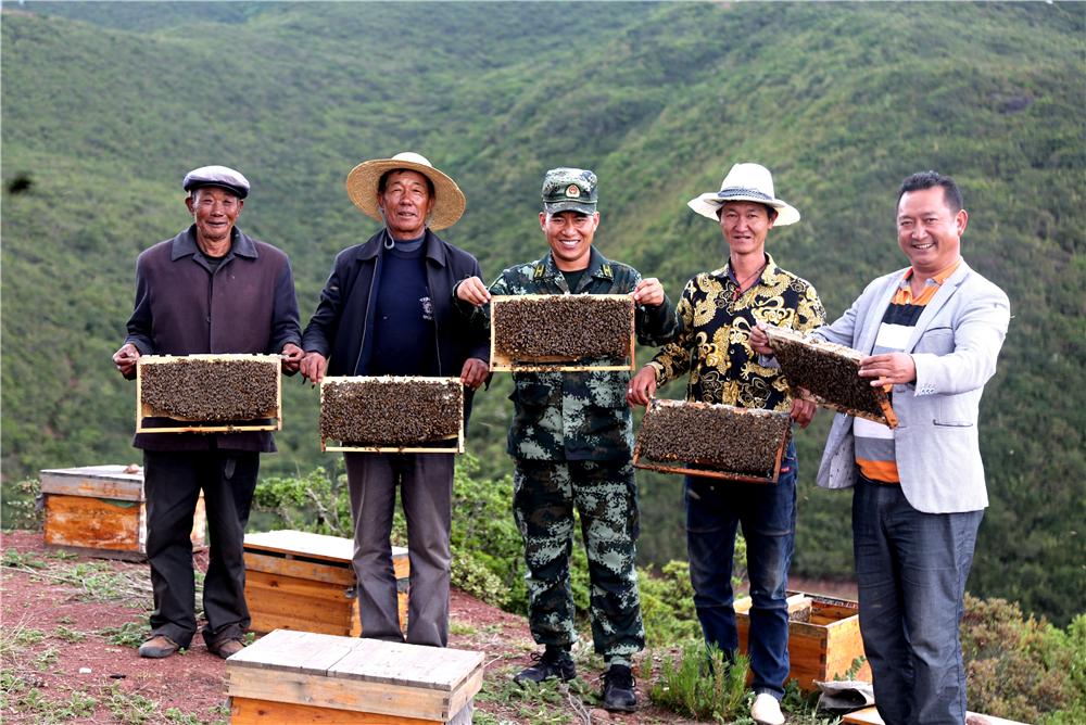 解辛平头条号,解辛平文章