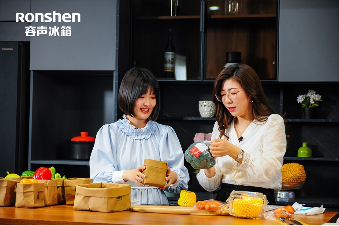 向往的生活第四季同款的冰箱,向往的生活同款小冰箱