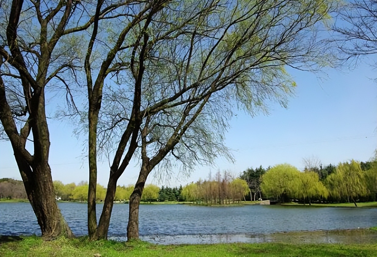 从黄帝到南宋时期的100个历史典故,读史明志的系列故事