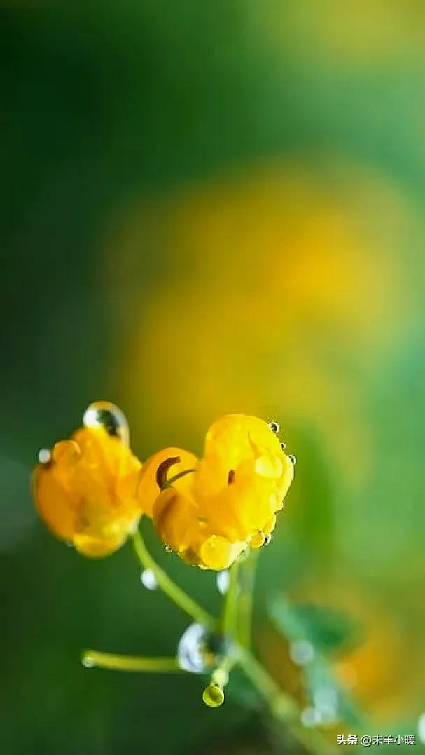 超清超美独一无二手机壁纸图片,养眼养心的壁纸