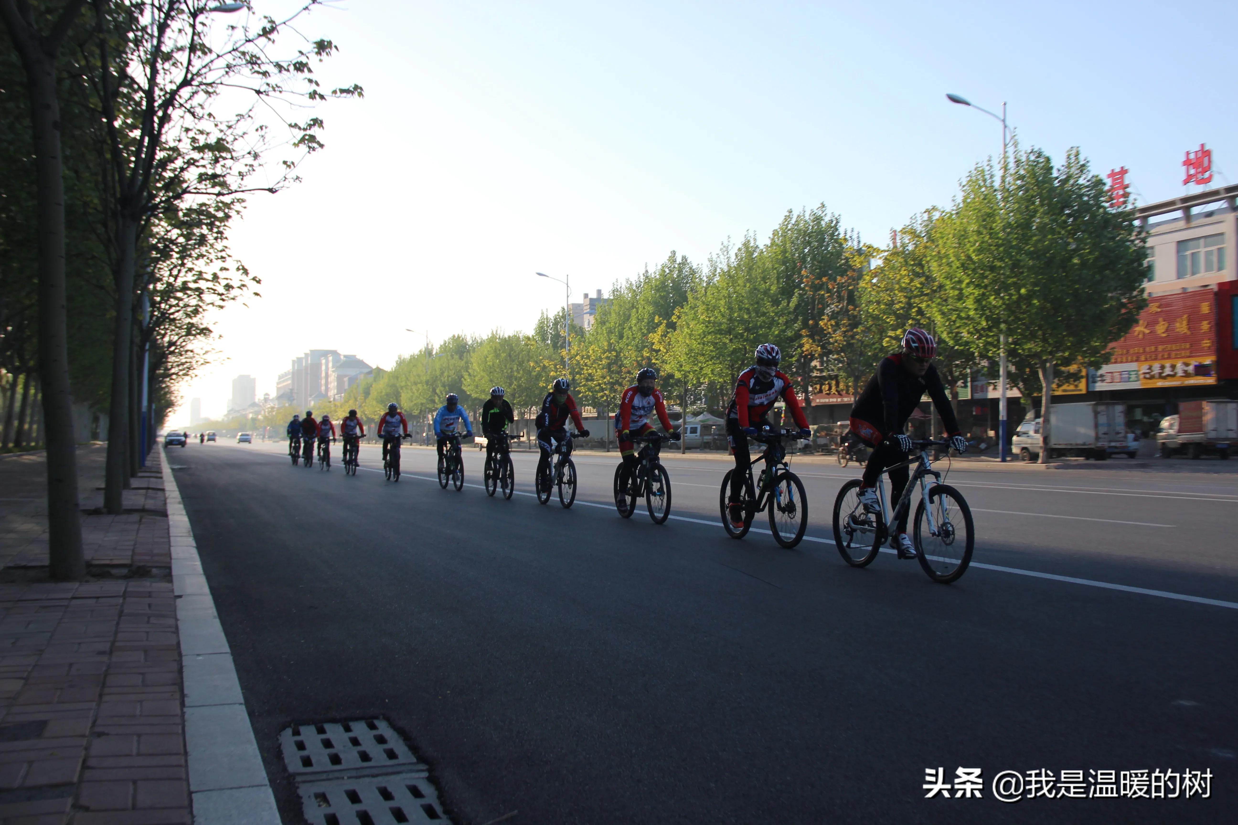 什么车架最好铝合金,什么材质的车架最好