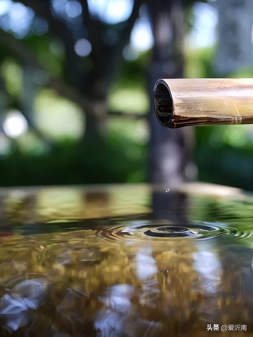 100句绝美春日诗词温柔又浪漫,微雨过小荷翻榴花开欲然