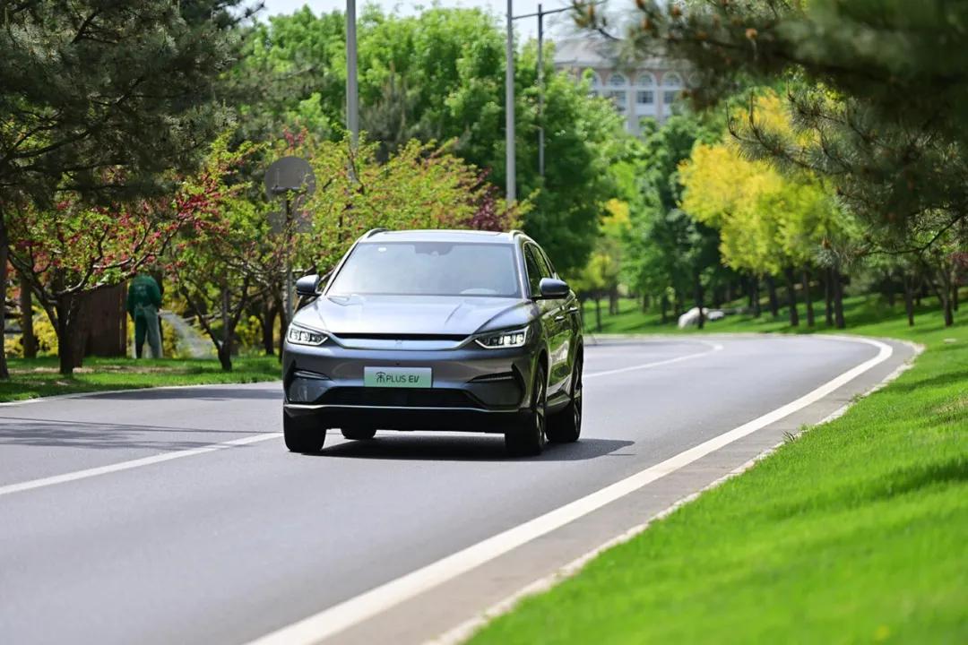 “王宁”与比亚迪的深度绑定会是一个大肉标志吗？