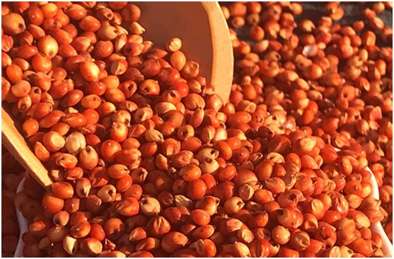 自烤酒为什么便宜,现在农村烤酒是骗人的吗