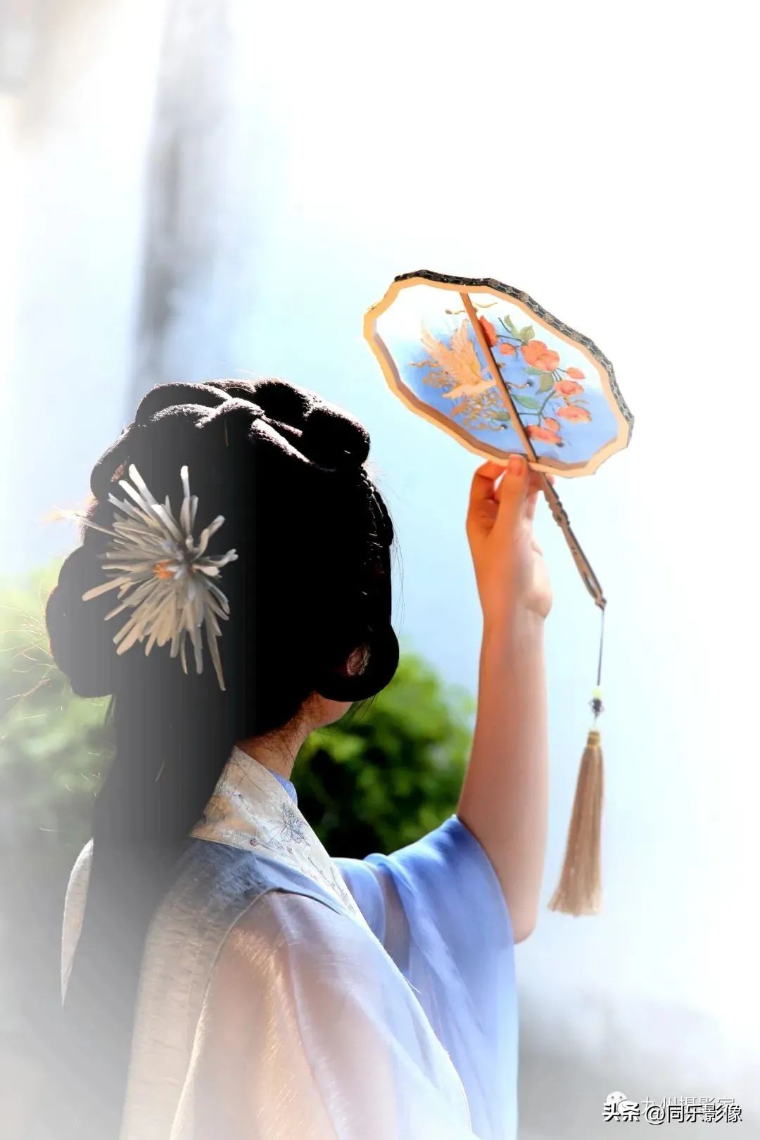 海阔凭鱼跃，天高任鸟飞---九州摄影浙江俱乐部优秀作品展