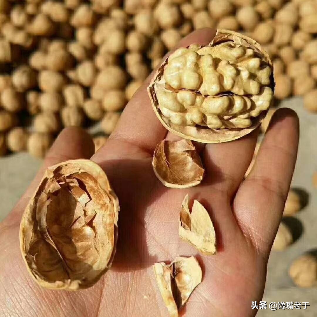 过年花生别乱吃,过年年货瓜子花生