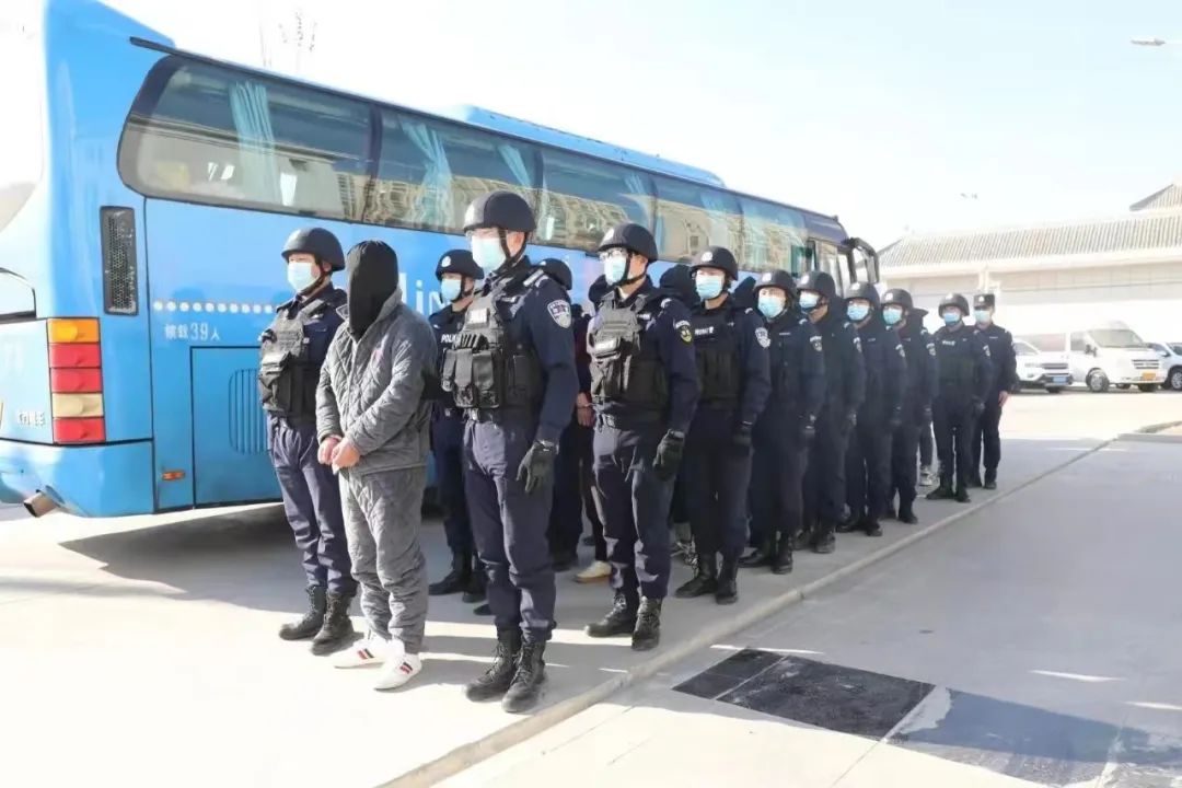 【主动创稳】甘肃经侦：提升打防犯罪水平护航全省经济高质量发展