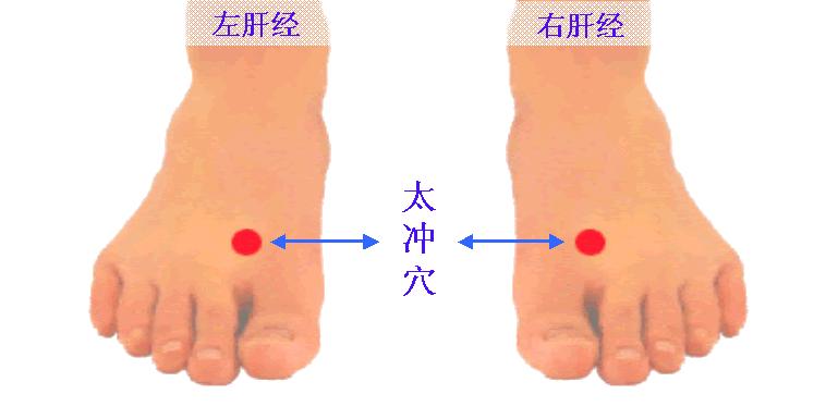 中医必知81个特效穴,一病一穴学中医必知的81个特效穴
