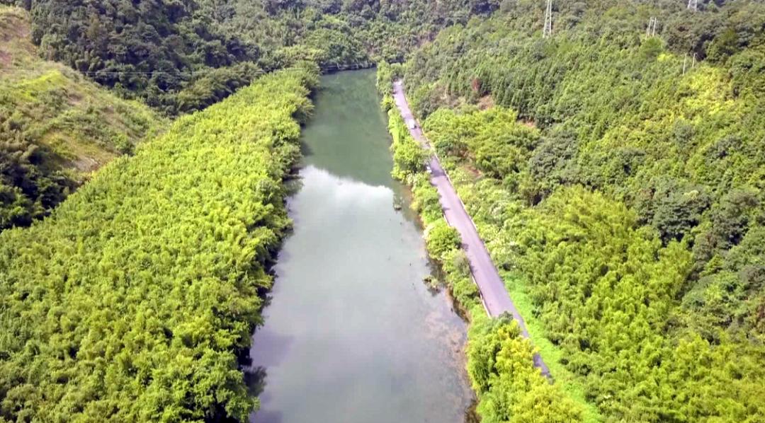 韶关网红景点有开放吗,韶关旅游景点最新开放