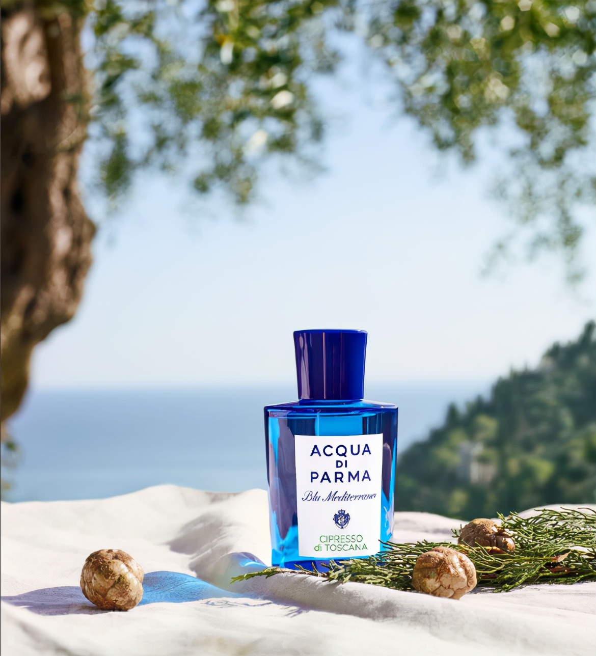 沙龙香是什么牌子,沙龙香都有啥