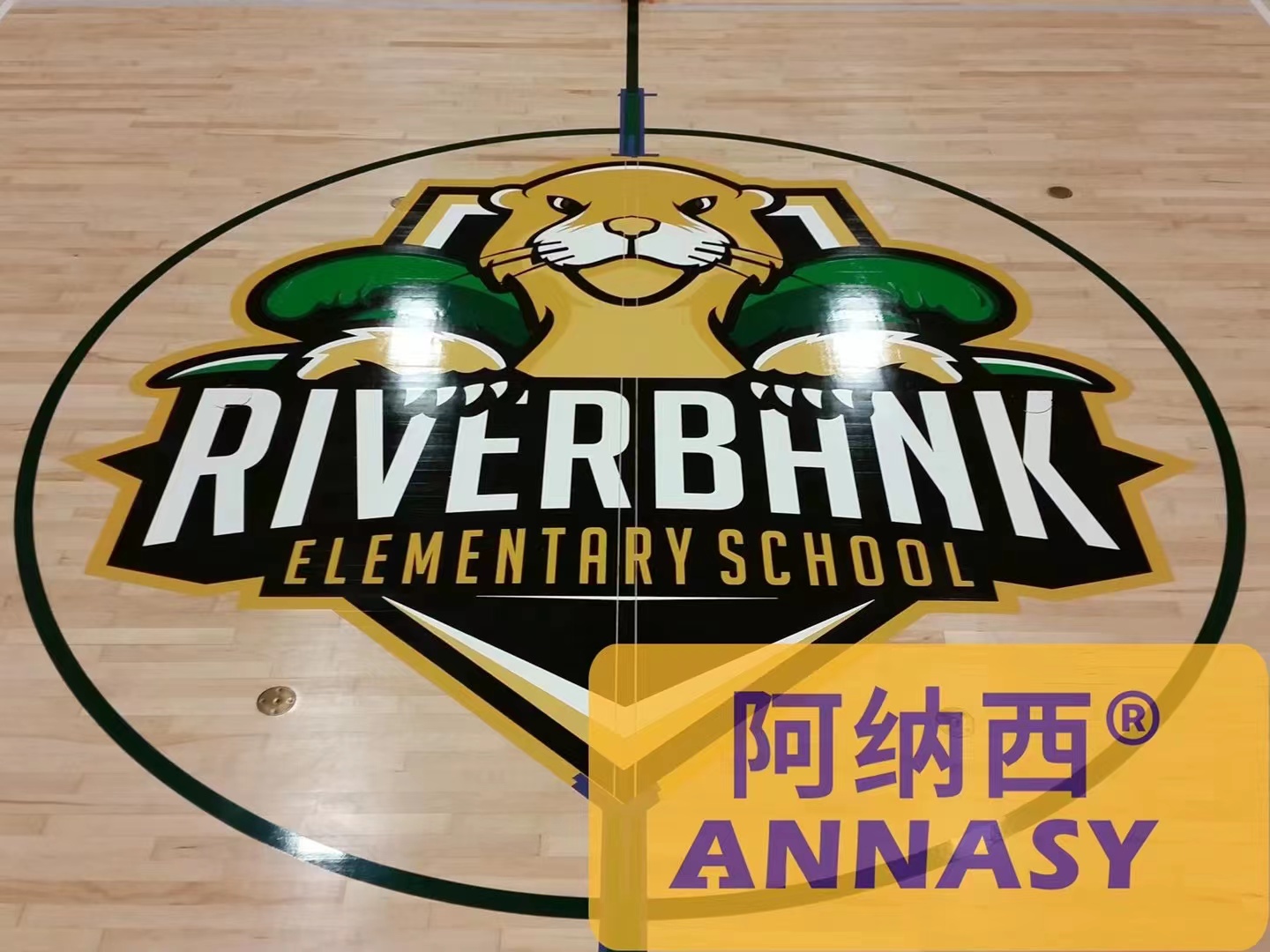 篮球馆地板彩图大全,室内篮球运动地板的配色效果图