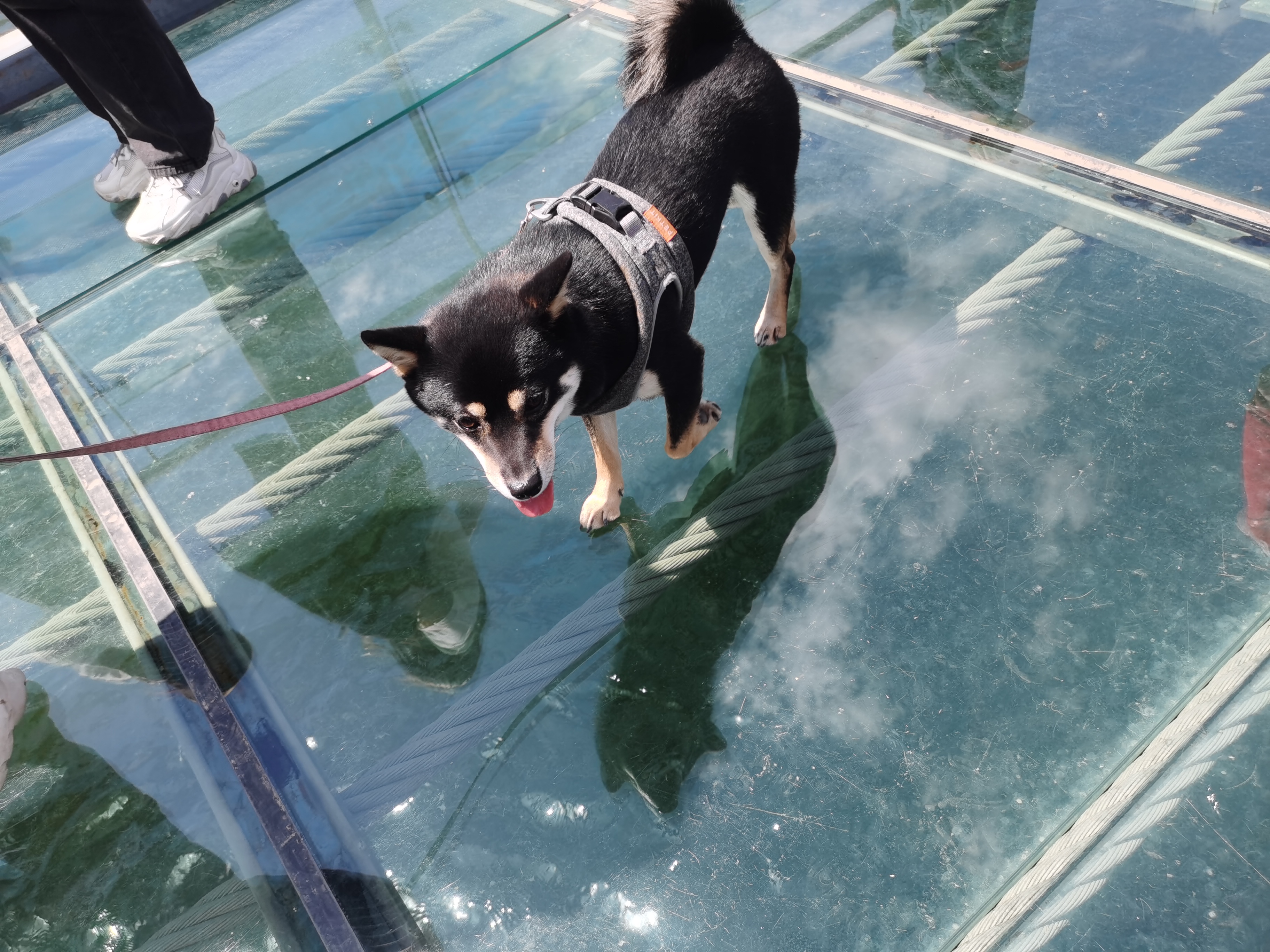 黄花城水长城旅游攻略,行走万里长城之旅