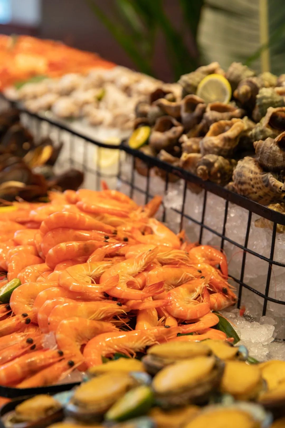 温州香格里拉香宫自助,温州香格里拉自助餐多少钱