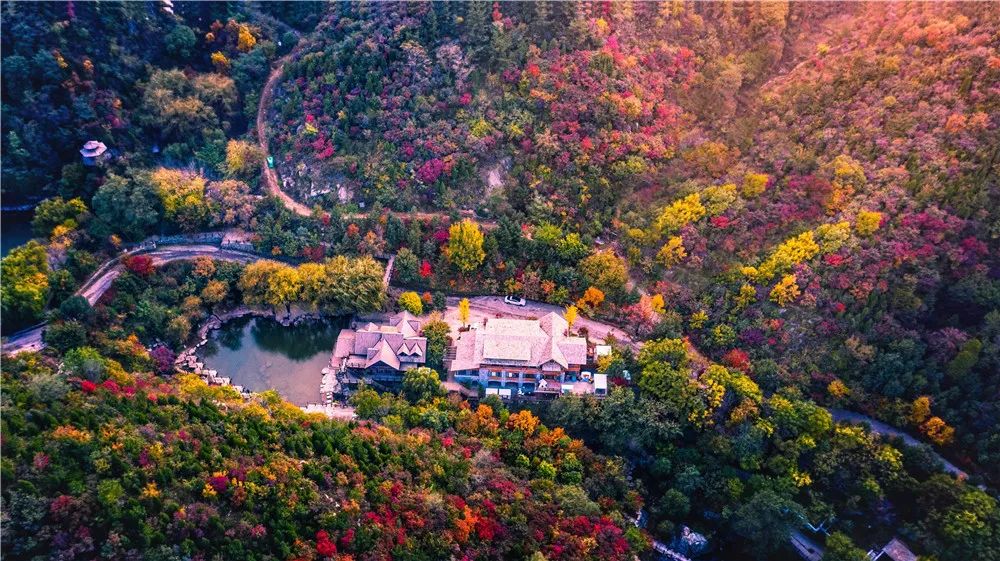 梦里民宿,这五家海景民宿美到不想回家