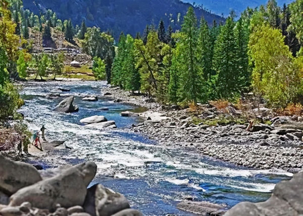 10年*疆新**惊现一种灰石头，毒性十分强烈，专家：这是一种稀有金属