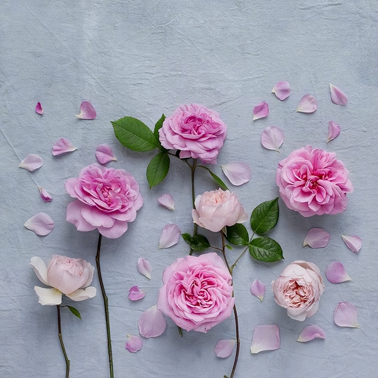 节日来临之际祝大家节日快乐,节日快乐的祝福语简短一句话