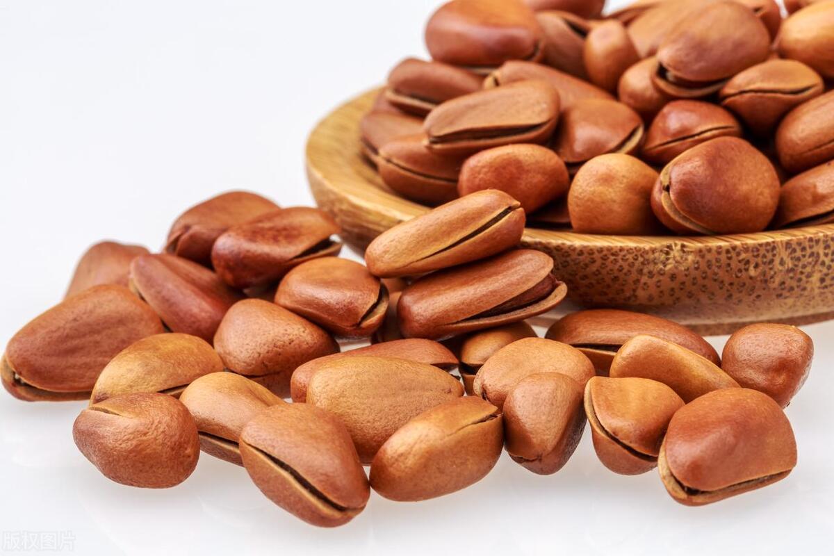 科学的认知是什么,科学的认识人体