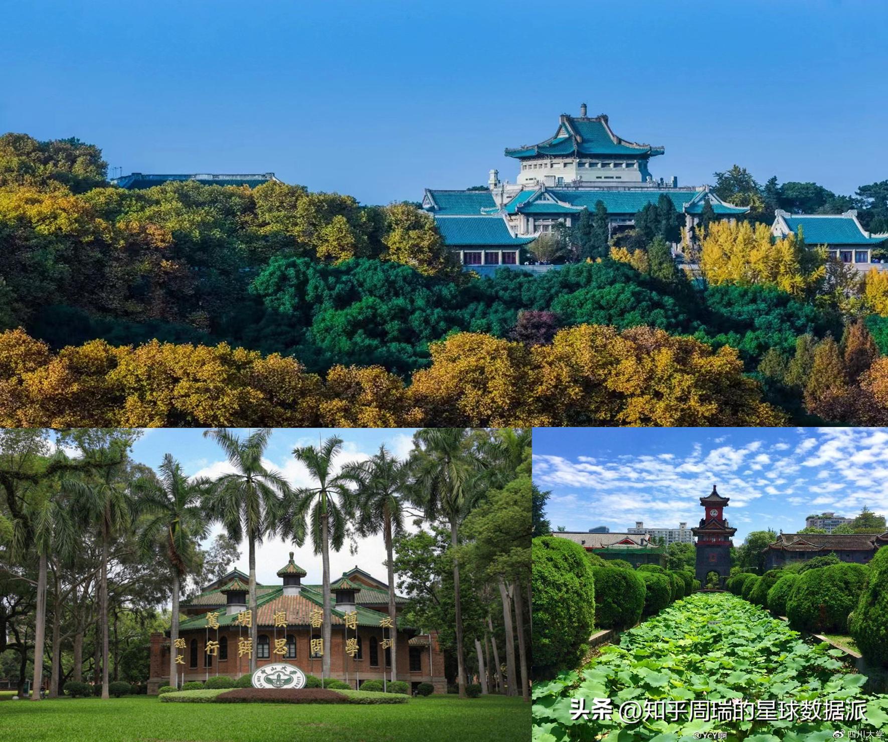 武大好还是华东五校好,川大武大哪个大学好