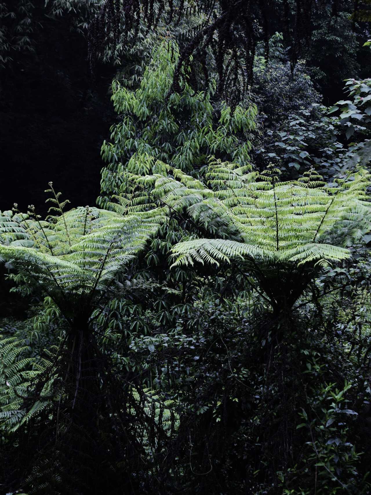 乐山异国风情打卡新去处,乐山游玩攻略及人文风情