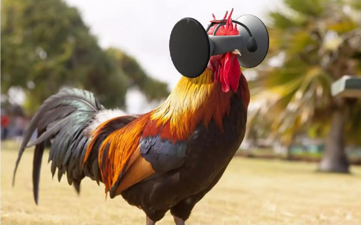 云台防抖是通过鸡头的原理,仿生学鸡头稳定器