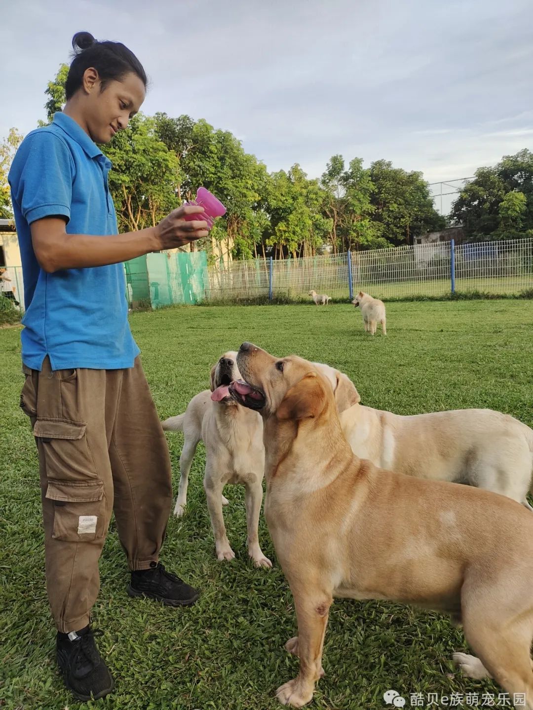 你踩过坑吗测试,你踩坑了吗金标贝壳头真假对比