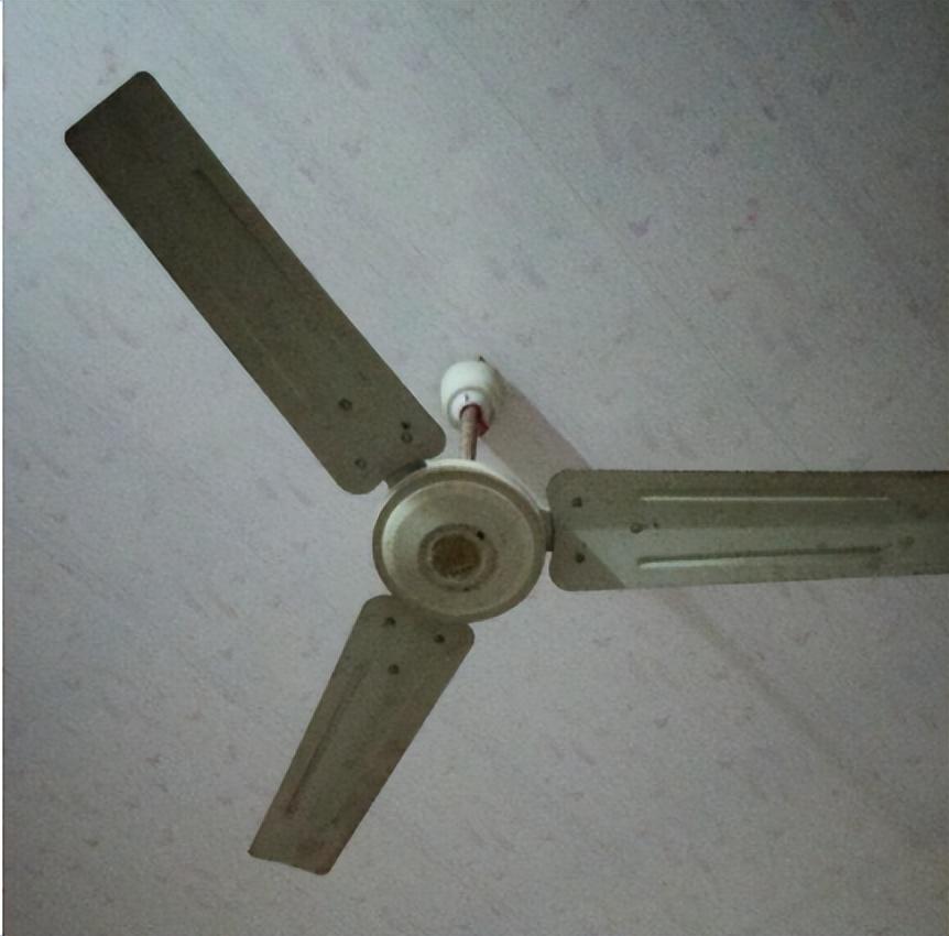 一家三口吃馄饨丧命,天津一家四口吃饺子死亡