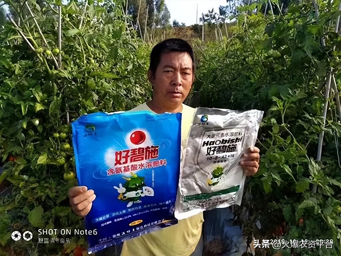 氨基酸肥料的9大优势,做农资需要掌握的知识