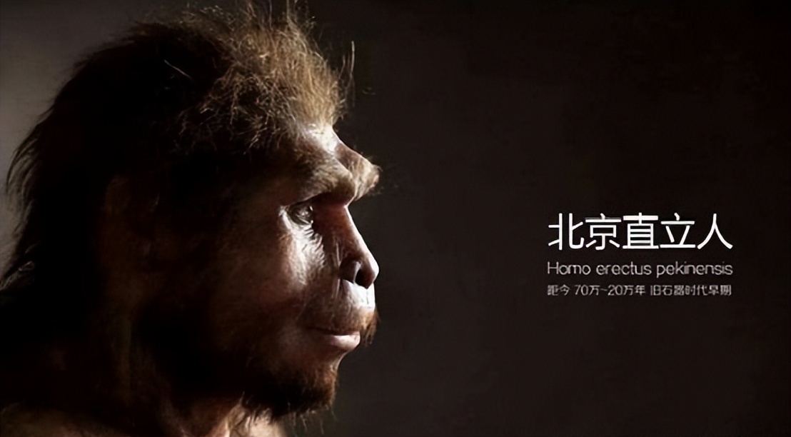 ​暗黑料理：鼠肉烹饪竟比鸭脖历史更悠久