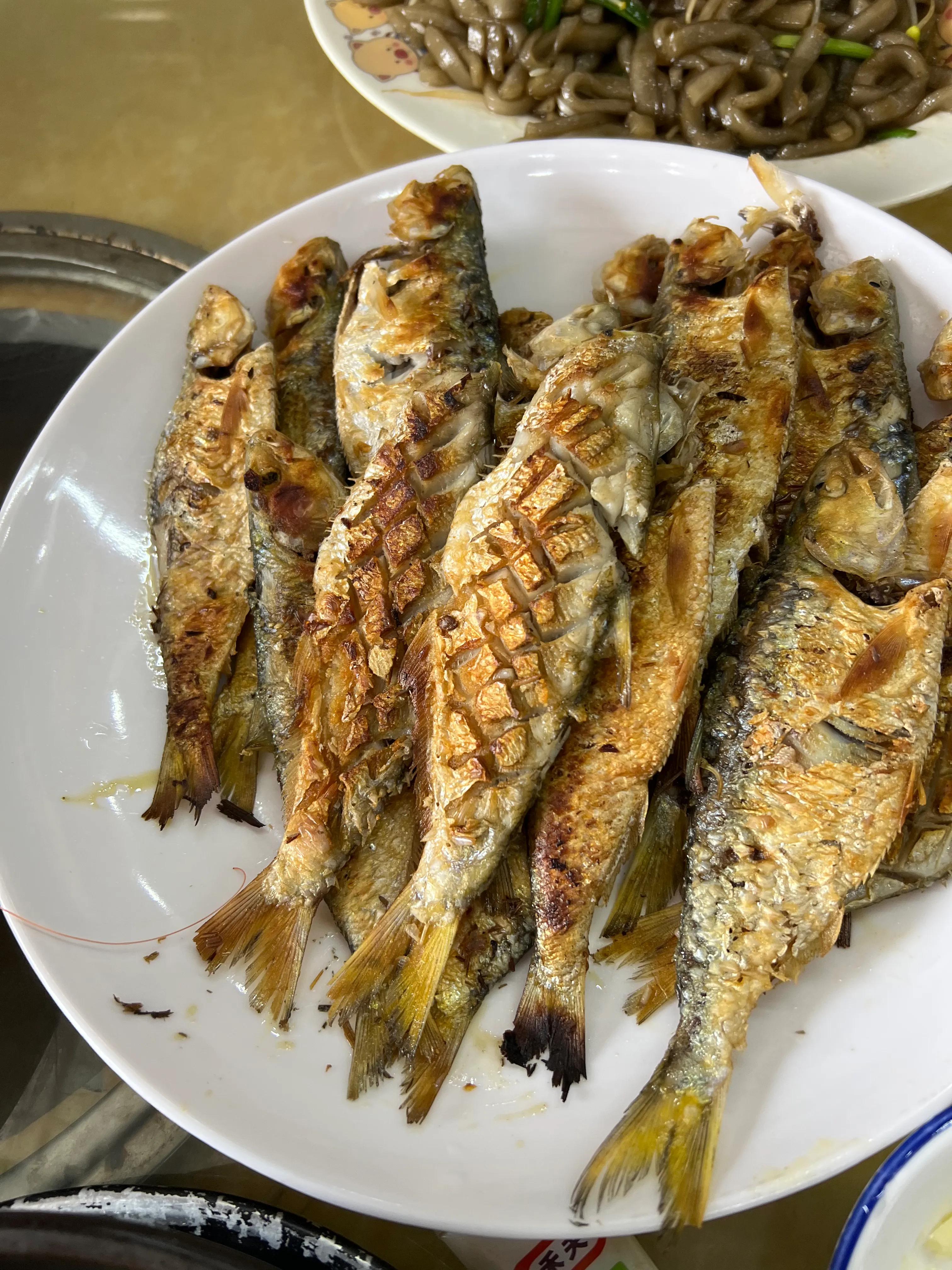 云南旅居养老最好的地方,海南旅居养老基地排前十名