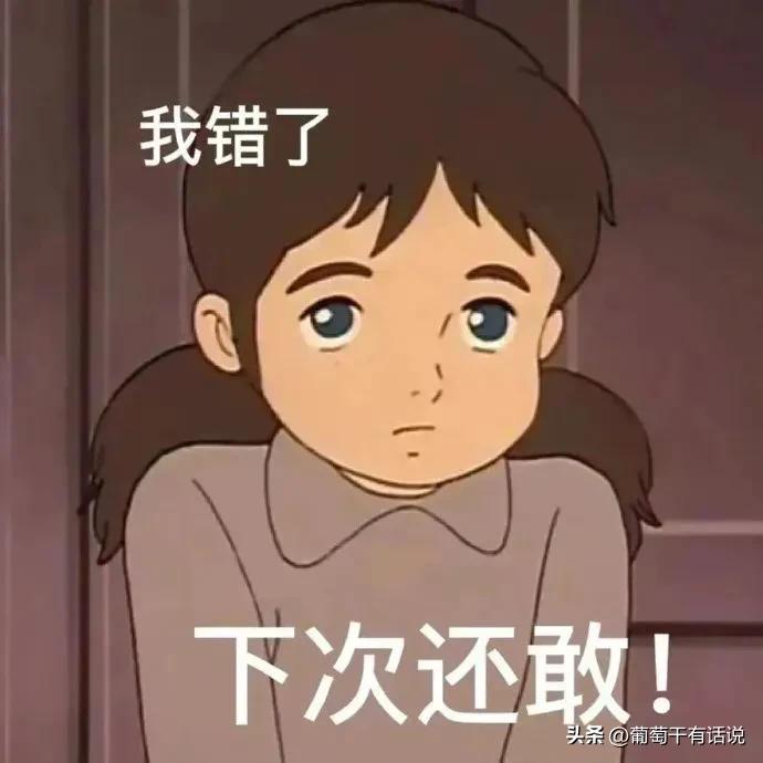 道歉专用表情包哄对象最有效,道歉专用表情包鸭鸭对不起