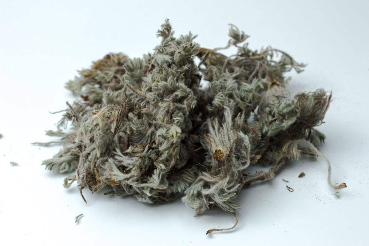 治疗湿热型胆囊炎的药,疏肝利胆治疗肝胆湿热中药方