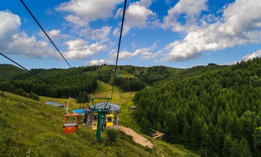 享受阳光享受大自然天然氧吧,值得一去的天然森林氧吧