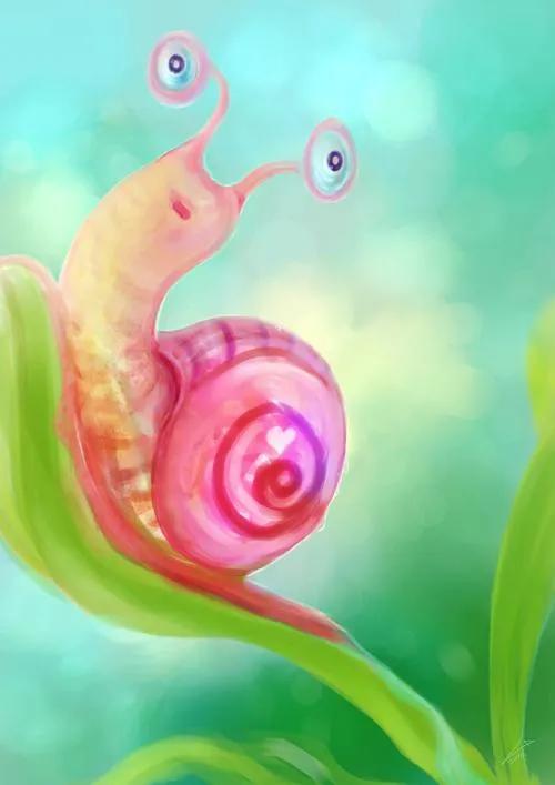 蜗牛壁纸高清全屏无水印,蜗牛壁纸手机超清全面屏